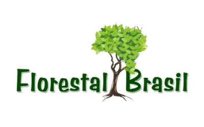 Consultoria Ambiental e Florestal | Licenciamento Ambiental, CAR e PRAD