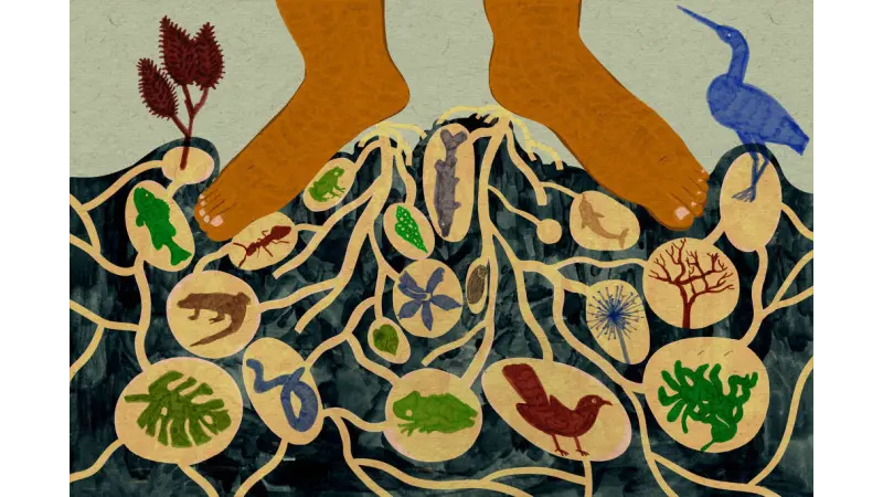 As Consequências da Lei Marco Temporal para a Biodiversidade e o Clima no Brasil