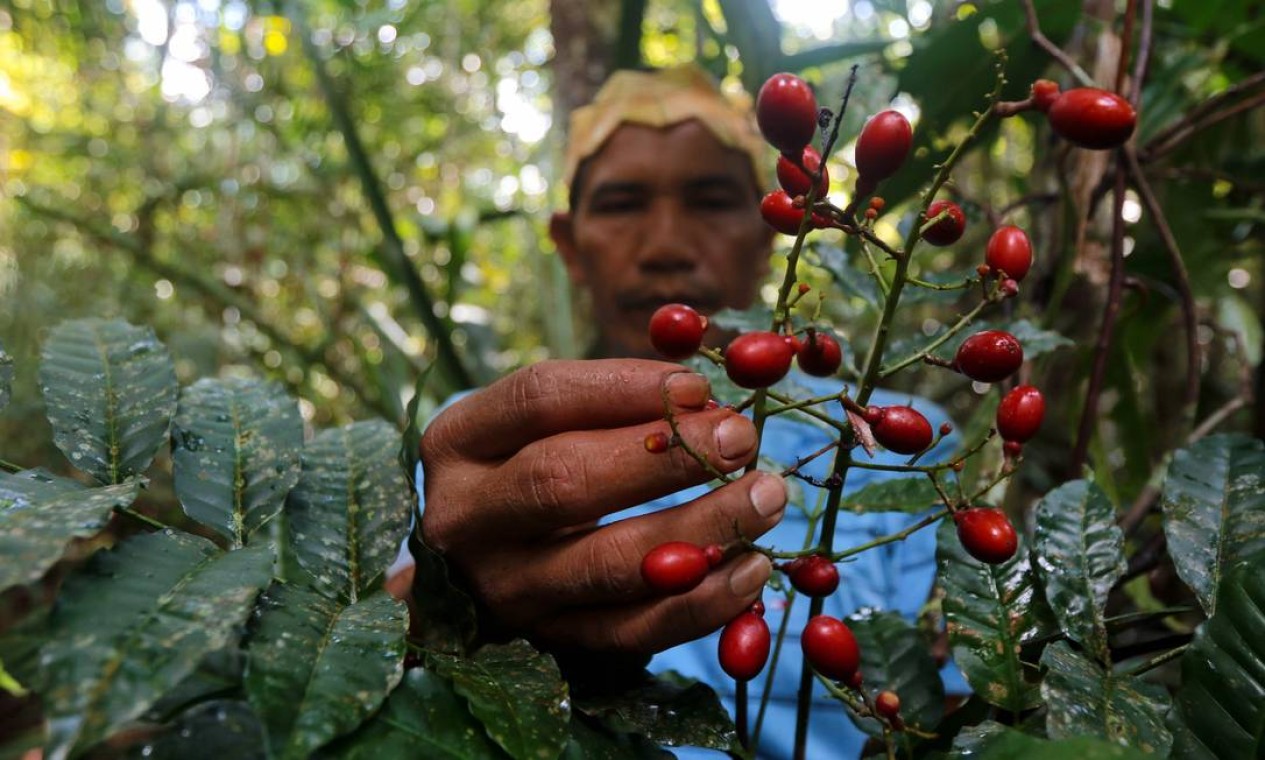 Imagem: Ricardo Oliveira / AFP