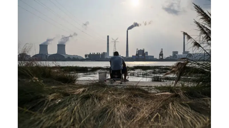 China decide não investir no fundo florestal criado pelo Brasil na COP30