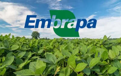 Concurso EMBRAPA: Tudo sobre o edital, e como se preparar