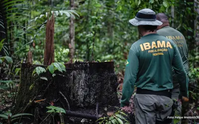 Concurso IBAMA 2021: sai edital com 568 vagas efetivas