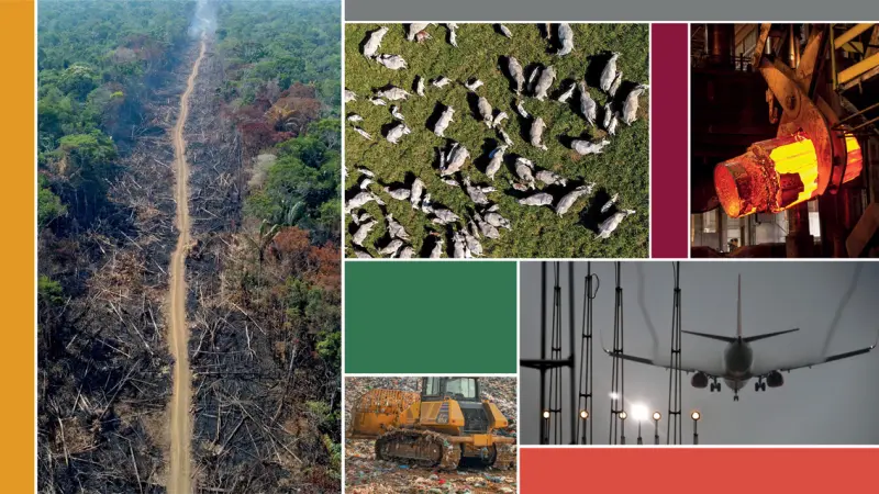 Desmatamento e agropecuária lideram emissões de carbono no Brasil