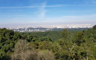 Estado de conservação da Mata Atlântica é destaque em novo estudo