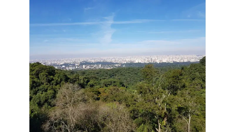 Estado de conservação da Mata Atlântica é destaque em novo estudo