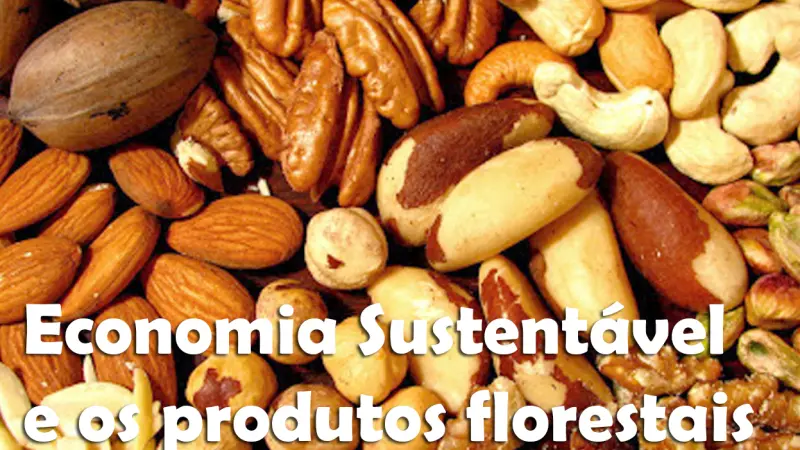 FloresCast #19 - Economia sustentável e os produtos florestais NÃO madeireiros