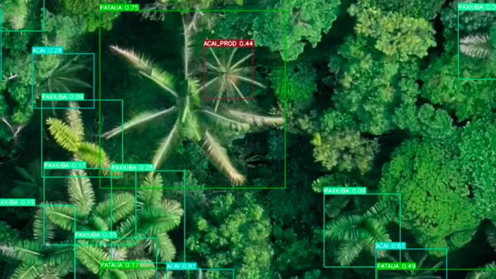 Inteligência artificial brasileira mapeia 3.500 hectares da Amazônia em apenas um dia
