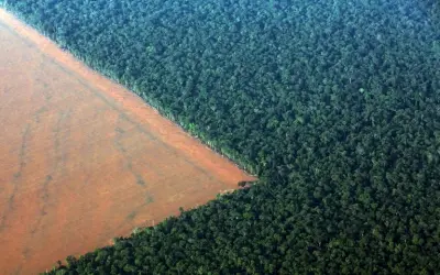 Justiça declara inconstitucional lei estadual de RO que permite compensação de reserva legal em áreas de proteção ambiental