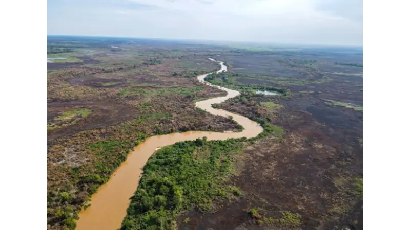 Pantanal pode ter a pior seca da história no ano de 2024