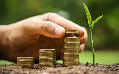 Para BNDES, investir em floresta vale mais que especular com ações