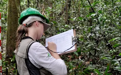 QUAL A DIFERENÇA ENTRE ENGENHARIA AMBIENTAL E ENGENHARIA FLORESTAL?