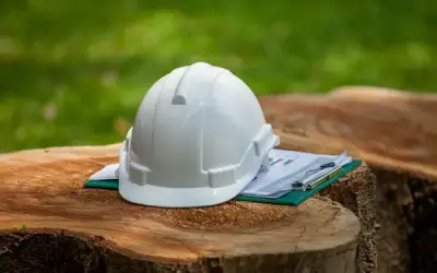 Qual a importância de um engenheiro florestal?