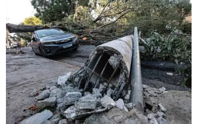 Queda de árvores em temporais expõe falhas de planejamento urbano, não excesso de arborização