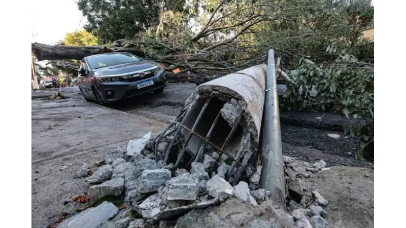 Queda de árvores em temporais expõe falhas de planejamento urbano, não excesso de arborização