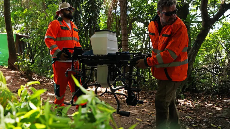 Como a tecnologia de Drones e uso de IA pode acelerar o reflorestamento
